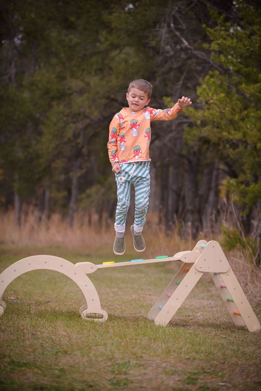 Pikler Triangle, Rocker Arch And Reversible Ramp SET